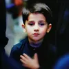 hussaintheelephants_
