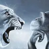 kissssakitty
