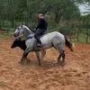 isaelkarvalho
