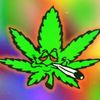 _thc.__