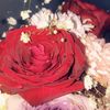 manar_b_a