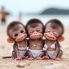 siwkisns
