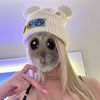 jili