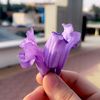 user74081746