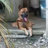 potchie_2022