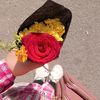 rahma.ahmed1231
