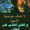8dz11