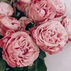 hauls.inspo24