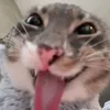 minh_anhh63