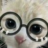 osamu_yz