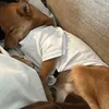 あち