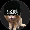 zaamgajah_at