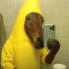 hl.ntbh