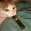 simp_177013