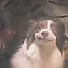 slepthehacker