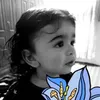 jamaldoski4