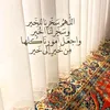 ali2444688