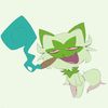 lolking25637