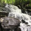 thatlilbj