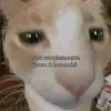 lilarah27