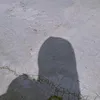 ana_suee