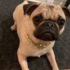 mrpug02