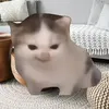 bongjeulabubu08