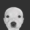 sukapnm