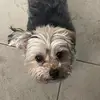 yamoo9