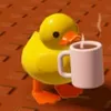 quackvr2010