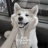 Dog Country
