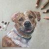 lily_drawss