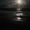 bh.selma_