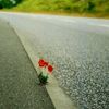 just.bilal