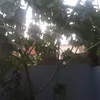 marwanmeziri0