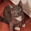 benito_587ch
