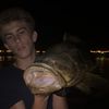 marcelfishes_