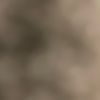 user784422800