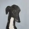 00001234hh