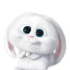 clueegu