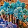 umrashed_almarri