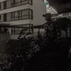 тнт🍁