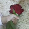 l7nlove