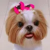 babicaroll