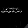user54440229