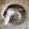 pattati.enzo