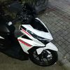 vrex99