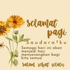 musfiq.h
