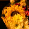 dearme751