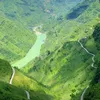 lacvansy